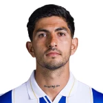 维森特·古斯曼